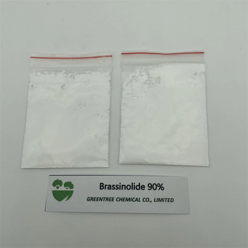 N° cas 74174-44-0 hormone de croissance végétale 28-Homobrasinolide brasinolide 90% TC