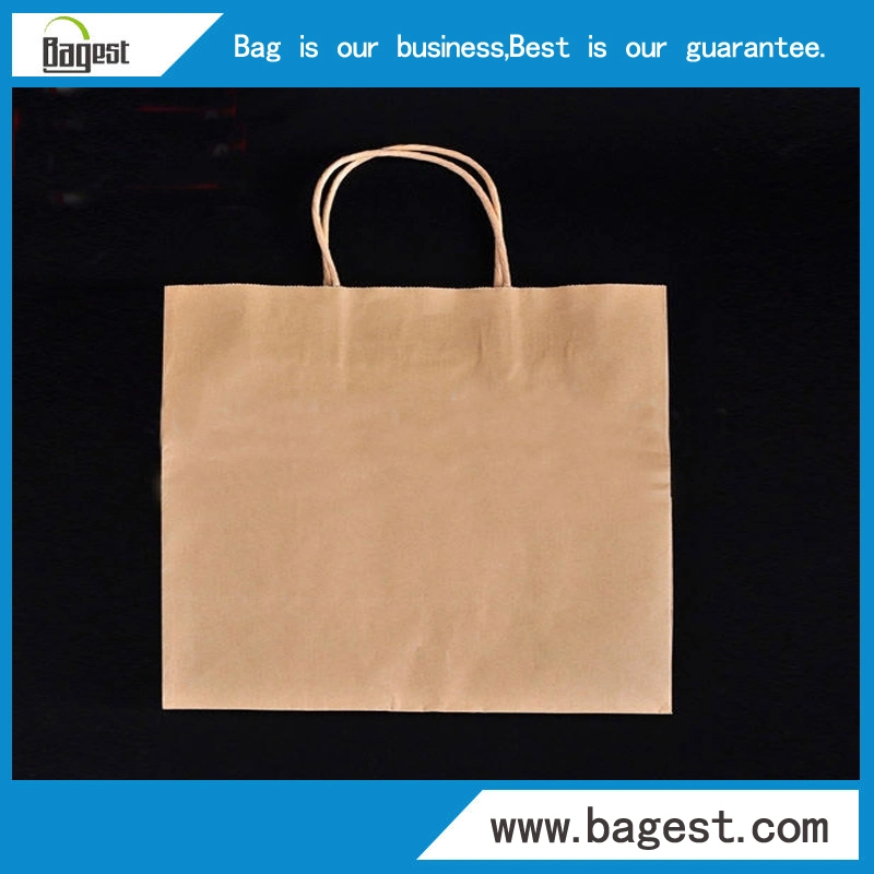 Natural Color Kraft Paper Bag for Food Paper Shopping Bag