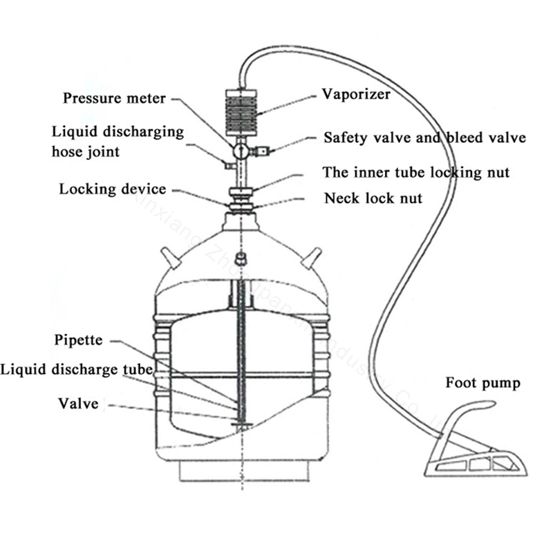 Distributeur d'azote liquide pompe électrique Zyb dispositif de prélèvement d'azote liquide Avec flexible d'azote liquide