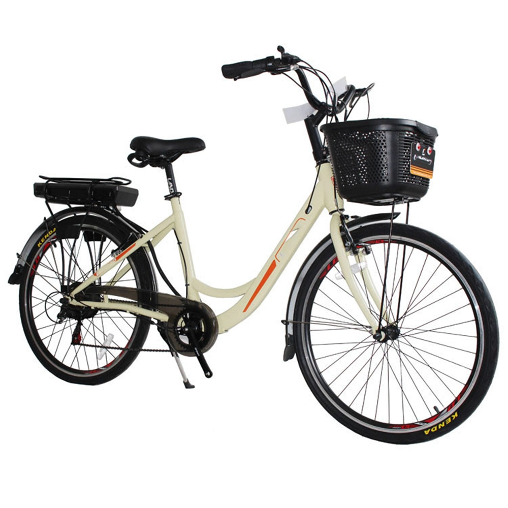 2020 China Hot Sale Fully CE 24 Inch 48V Electric Bike Ebike for Sale