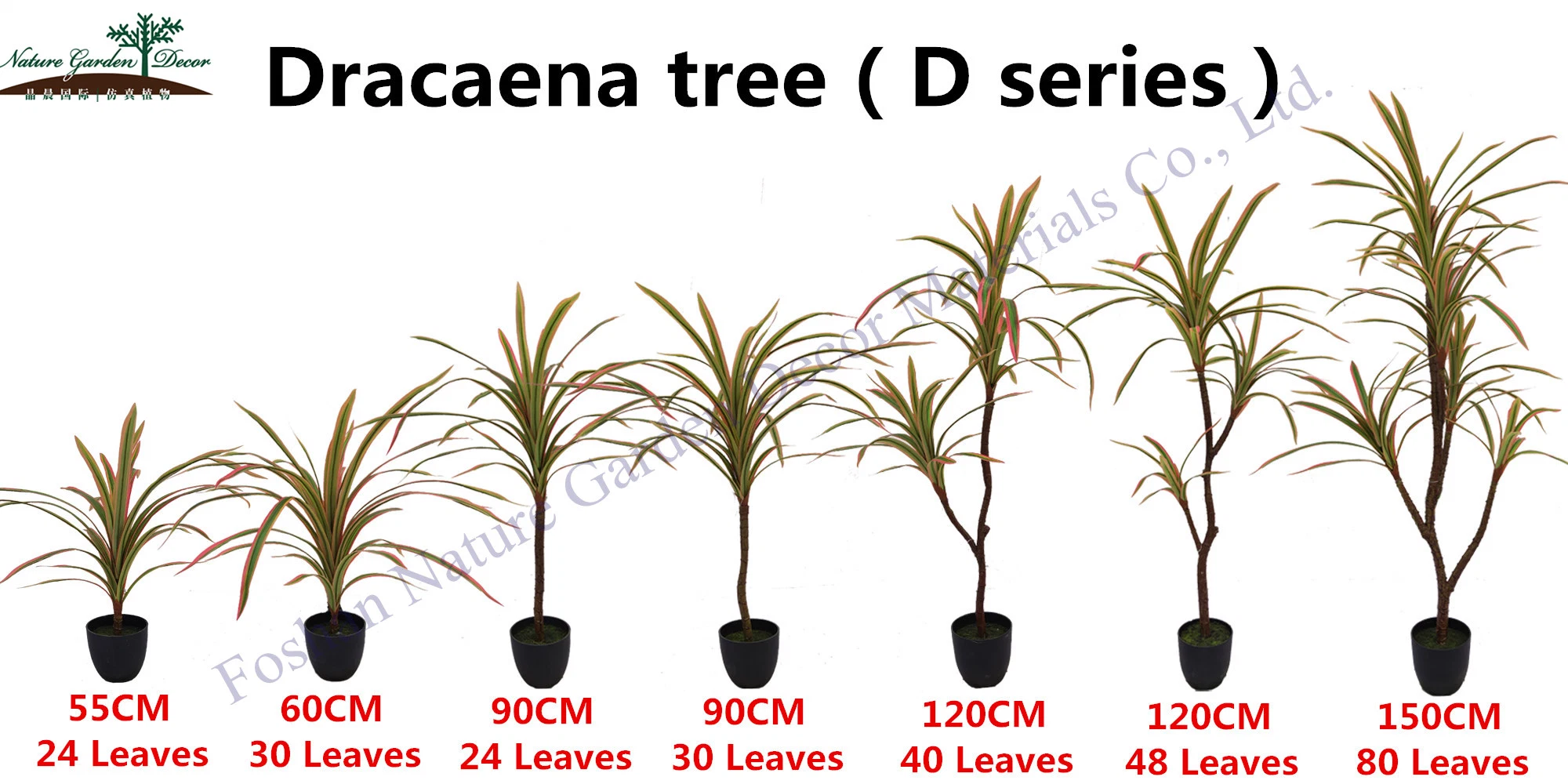 Cheap Dracaena Fragans Topiary Verde Drago de plantas tropicales de interior