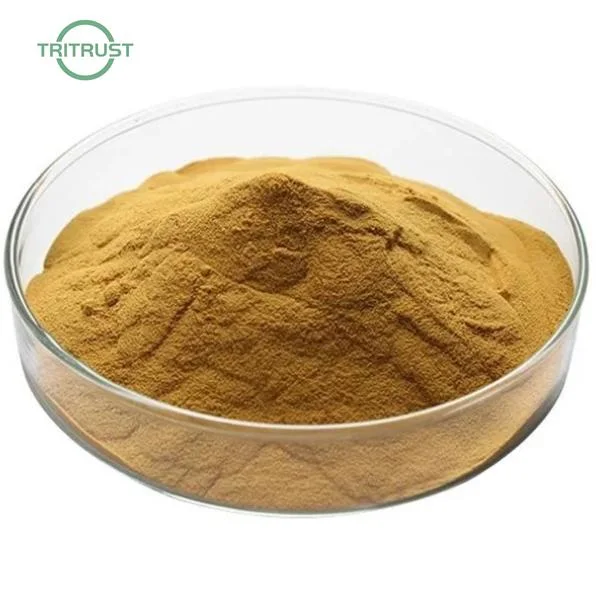 سعر الجملة فوليوم Eriobotryae / Eriobotryae استخراج الفلوريوم / Loquat Leaf Extract Ursolic حمض