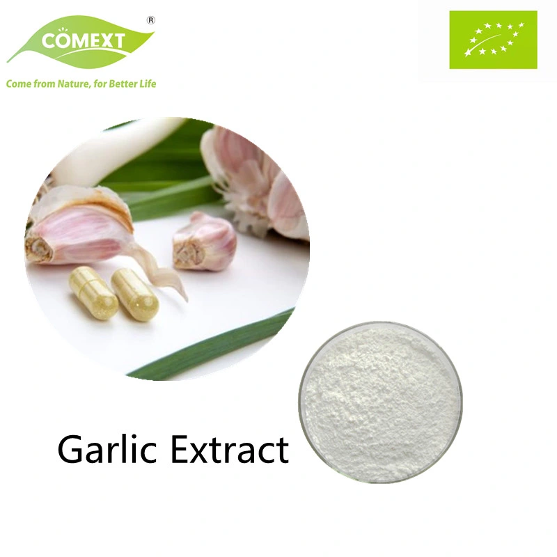 Comext Factory 100% Natural Best Quality Health Product of Halal Kosher Garlic Extract Powder