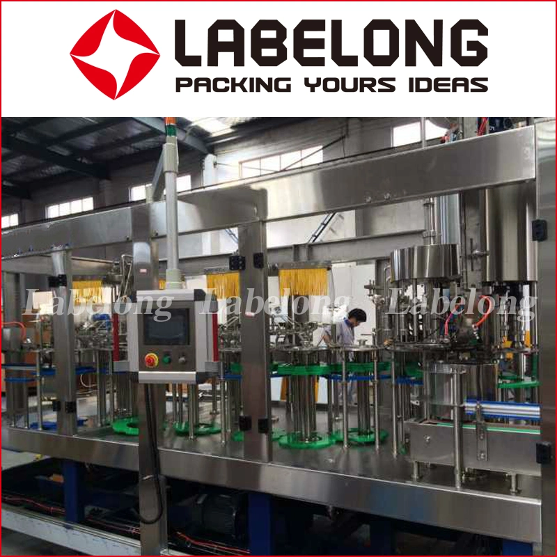 Apple Juice Packaging Machines with Washing, Filling, Capping