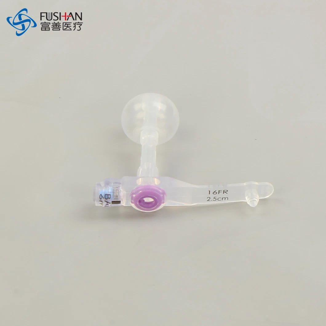 Mini Button Kit with Gastrostomy Tube Fushan Medical Hospital Used CE ISO13485 with Eo Sterile