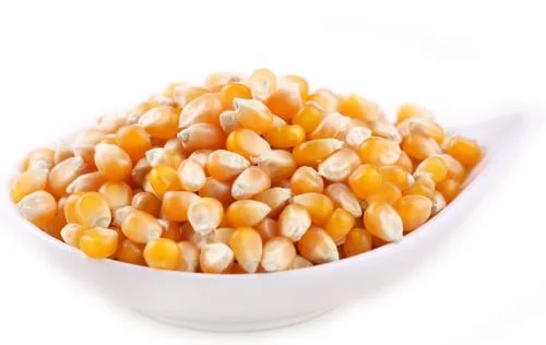 Fd Food Exporter Dry Vegetables Bulk Dried Sweet Corn with Ttn Harvester Price