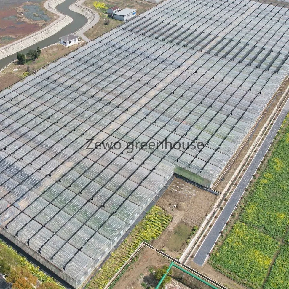 Galvanized Pipe with 60 Specifications for Greenhouse Skeleton Is Used for Hot DIP Galvanized Steel Pipe in Greenhouse