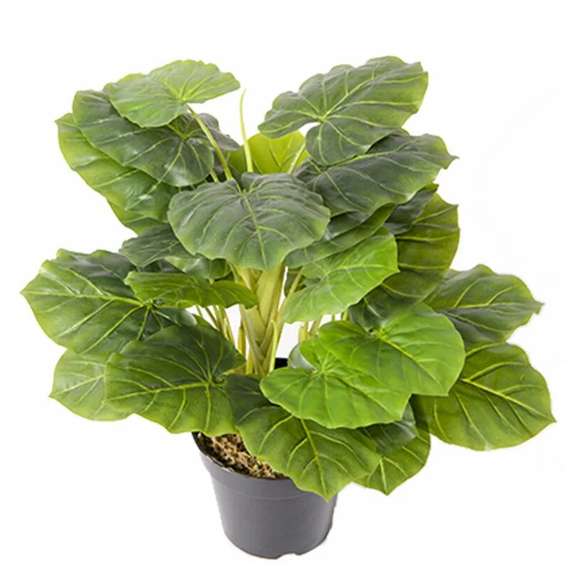 40cm Artificial Evergreen Bonsai Fake Taro Plant Tree From Guangzhou