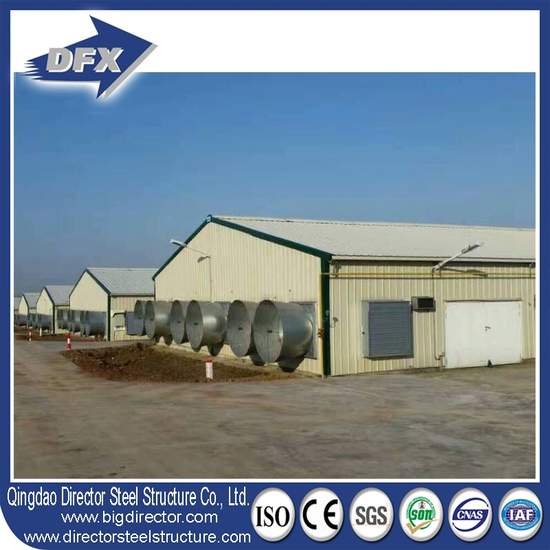 Dfx Steel Structure Chicken Shed Building Controlled Poultry Farms