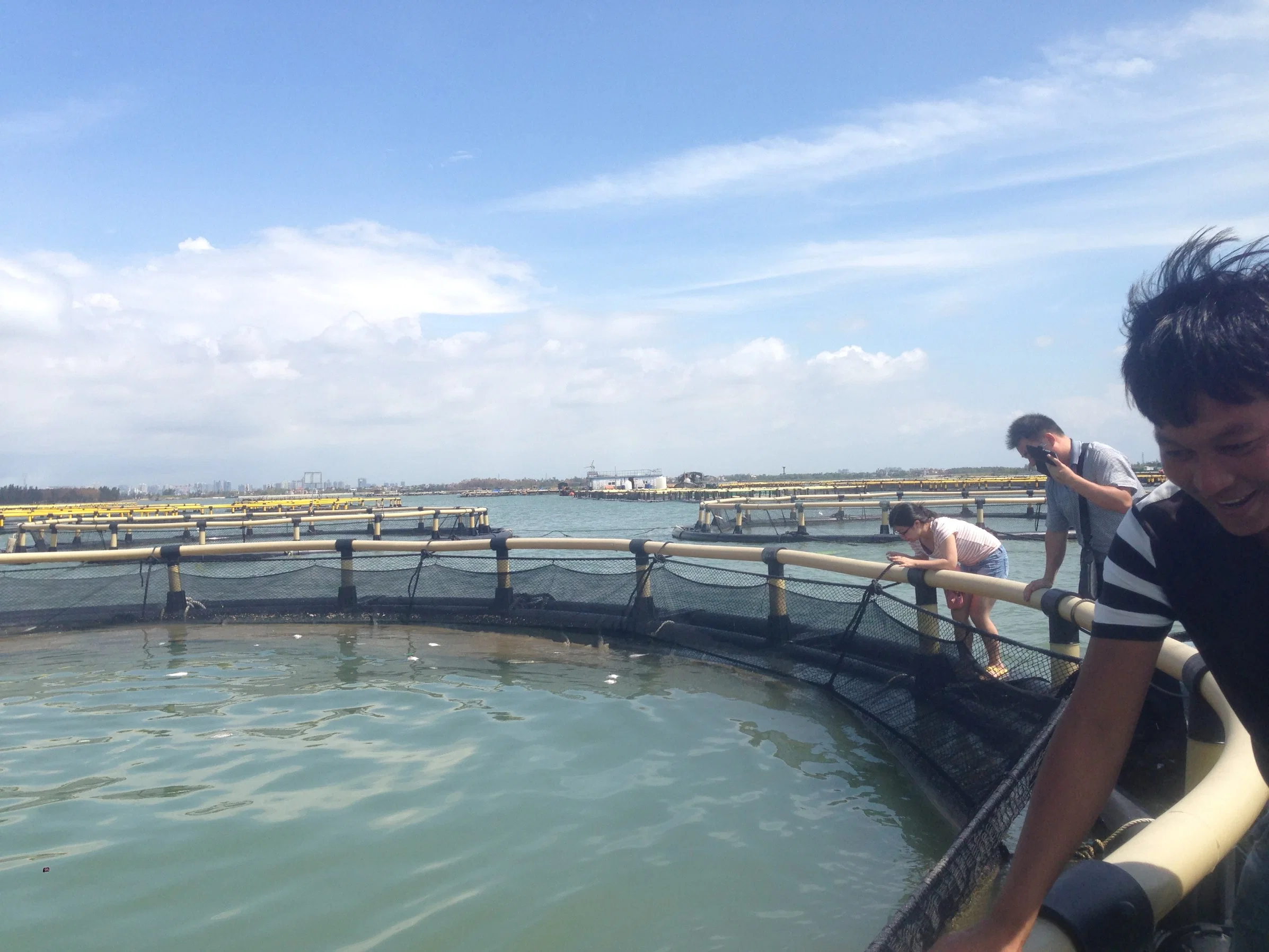 PEHD Aquaculture Culture de poisson pêche élevage cage pêche filet de cage Mer profonde