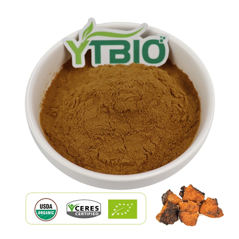 Melhor preço extracto de Chaga Mushroom orgânico 30% extrato de polissacarídeo Chaga