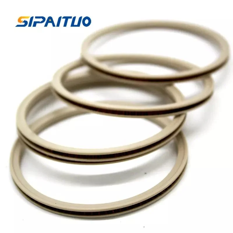 Les fabricants OEM sous tension de ressort joint PTFE PTFE/joint statique avec certificat ISO9000