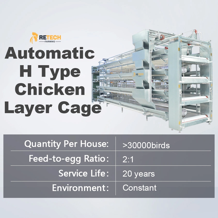Popular Automatic Layer Cage Chicken Coop Farm Equipment for Kenya