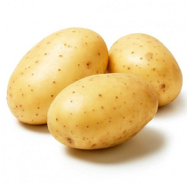 Large Russet Fresh Potato Supplier 80g 100g 150g 200g