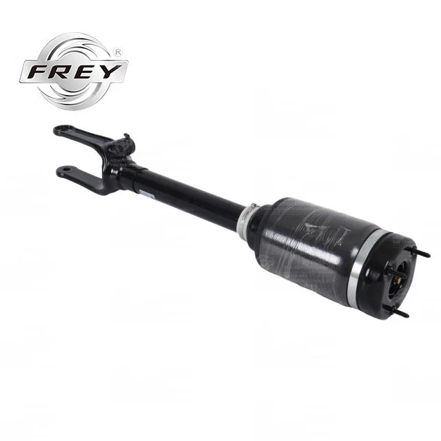 OEM 1643206113 Frey Auto Parts Suspension Parts Front Shock Absorber for Mercedes Benz X164