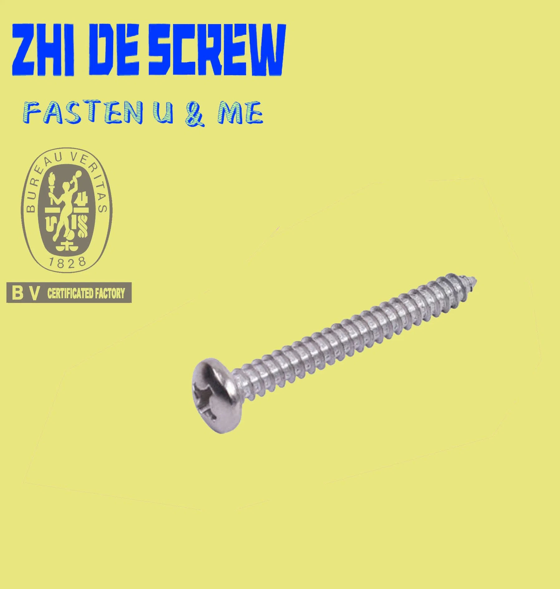 China Factory Produce Stainless Steel Pan Head Cross Phillips Self Tapping Screw