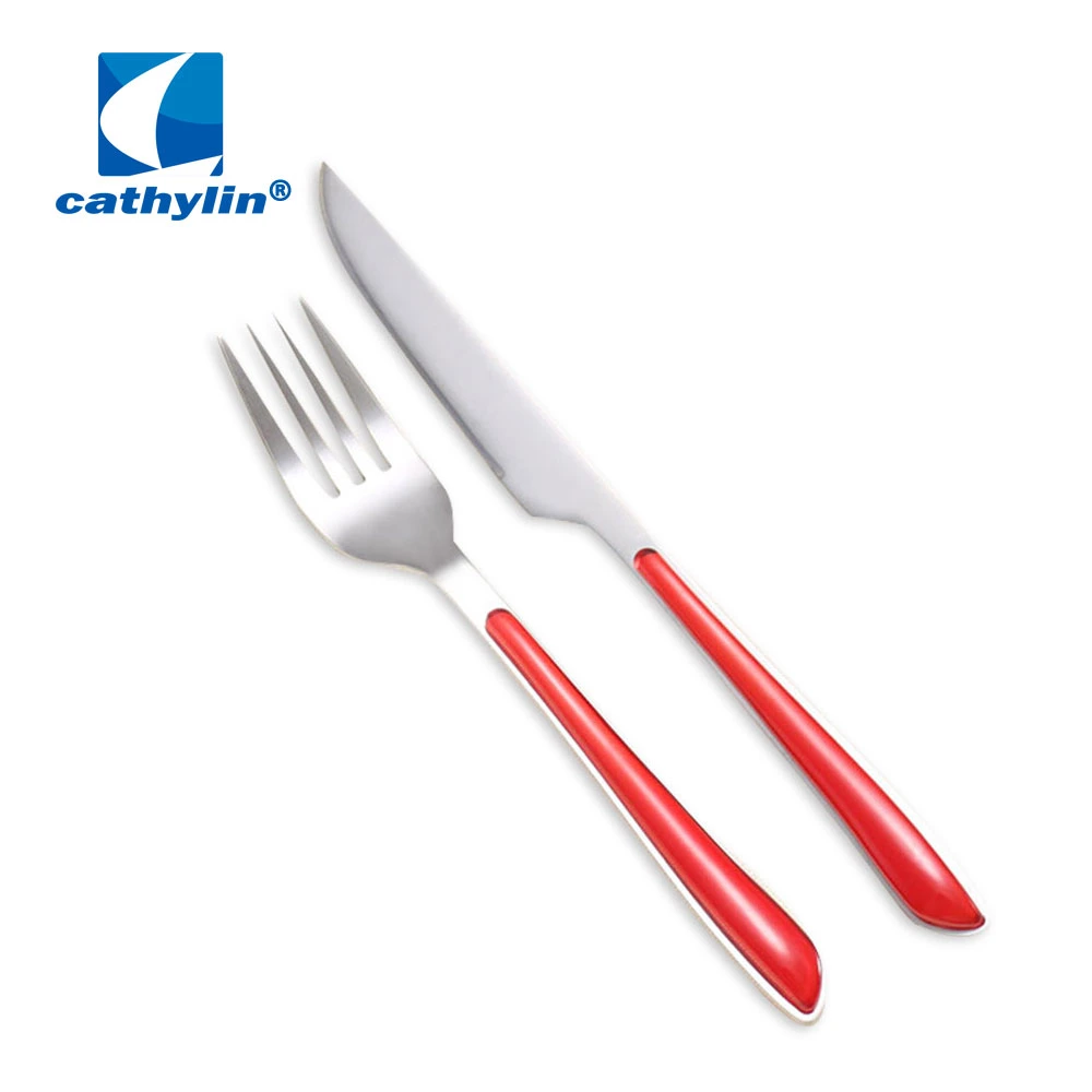 Customized Plastic Handle Stainless Steel Cutlery, Silver Flatware Set