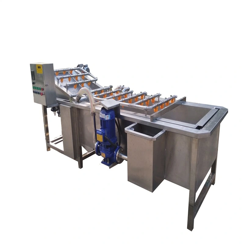 Egypt Fruit Vegetable Cleaning Washing Sorting Machine Line