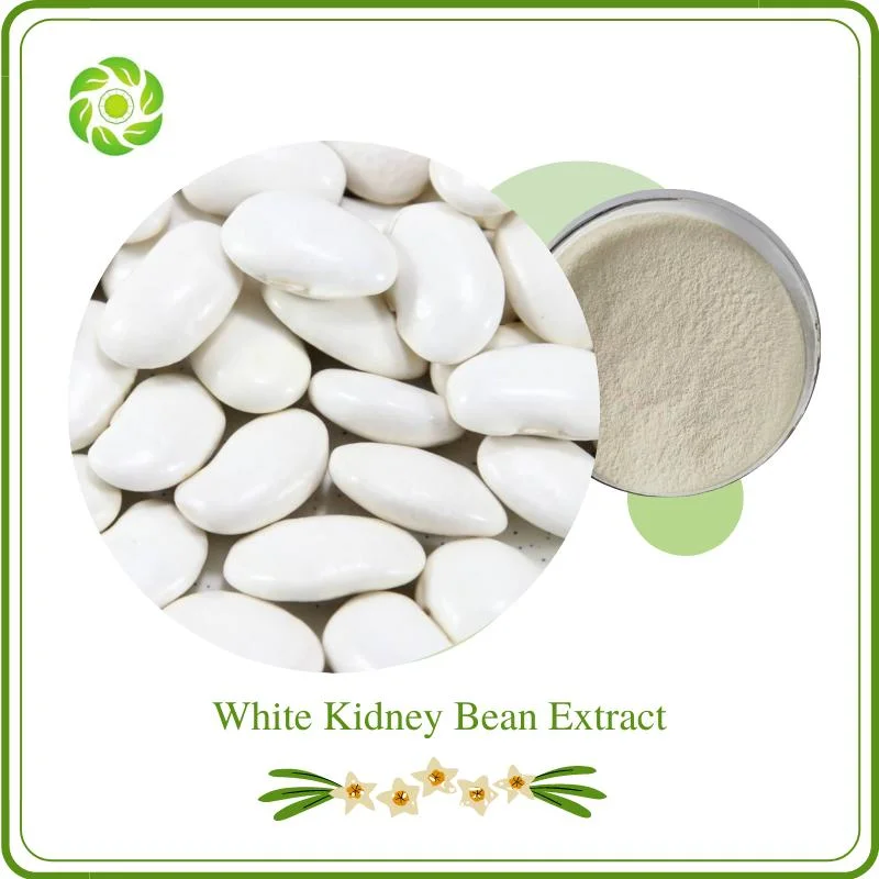 World Well-Being Wholesale White Kidney Bean Extract Supplier