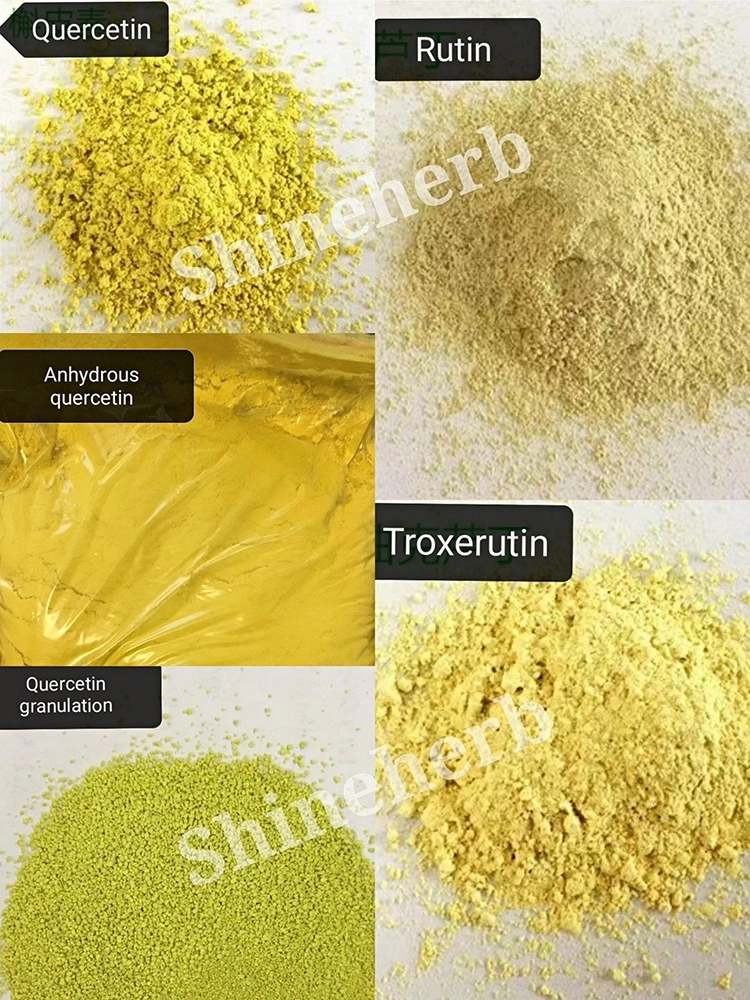 Free Sample Wholesale/Supplier Natural Quercetin Granule / Quercetin Powder