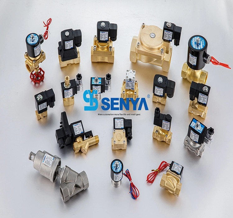 Применение системы регулирования расхода производства компании Senya Pneumatic Chinese Brand Manufacturer серии 2p Настраиваемый электромагнитный клапан 2/2-х путей для подачи воды верхнего уровня