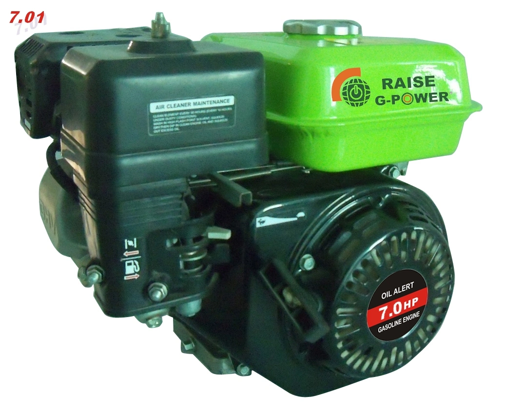 Raise Brand Power Air Cooled Single Cylinder Gasoline 190fe 16HP Engine