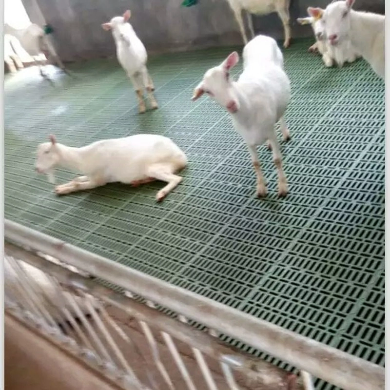 Sheep Bed Plastic Floor