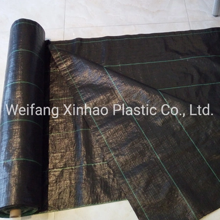 PP Woven 100g Ground Cover Fabric with SGS Test Report