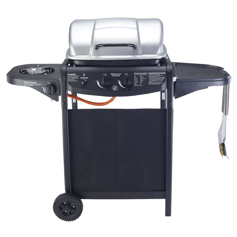 Outdoor Gas BBQ Grill 2 Burners