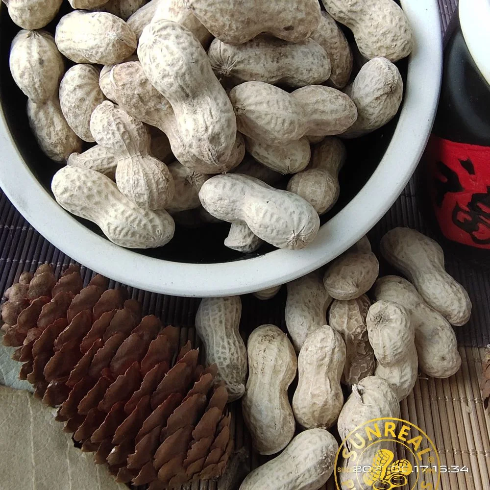 China Roasted Java Peanuts in Shell/Bold Peanut in Shell/Crispy 40/50 Good Taste