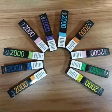 2000 Puffs Mini Disposable/Chargeable E Cigarette vapes