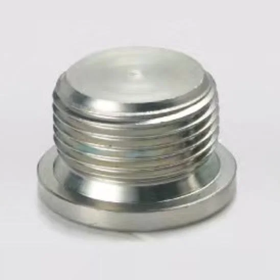 Customized Hydraulic Adaptor Stainless Steel Hexagon Plug