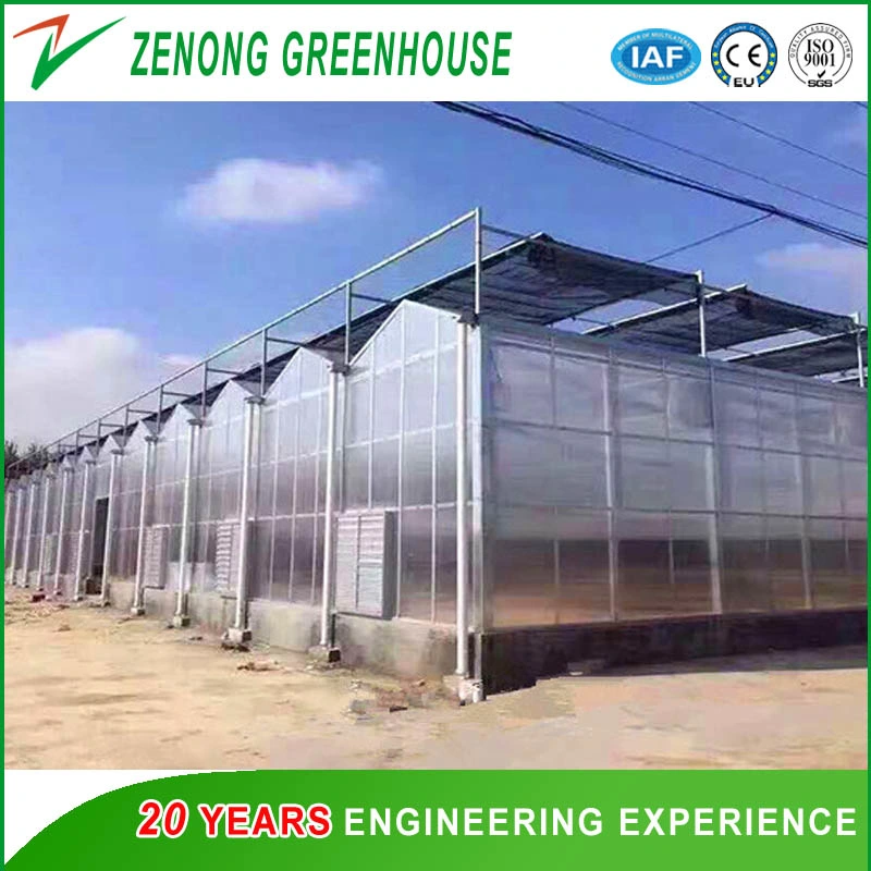 Agricultural/Commercial Double Layer Hollow Plastic PC Greenhouse with Cooling Pad and Fan System for Cooling Down