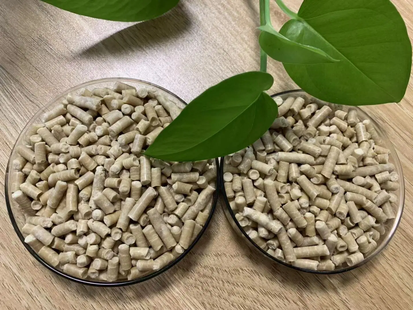 Wheat Gluten Powder and Wheat Gluten Pellets