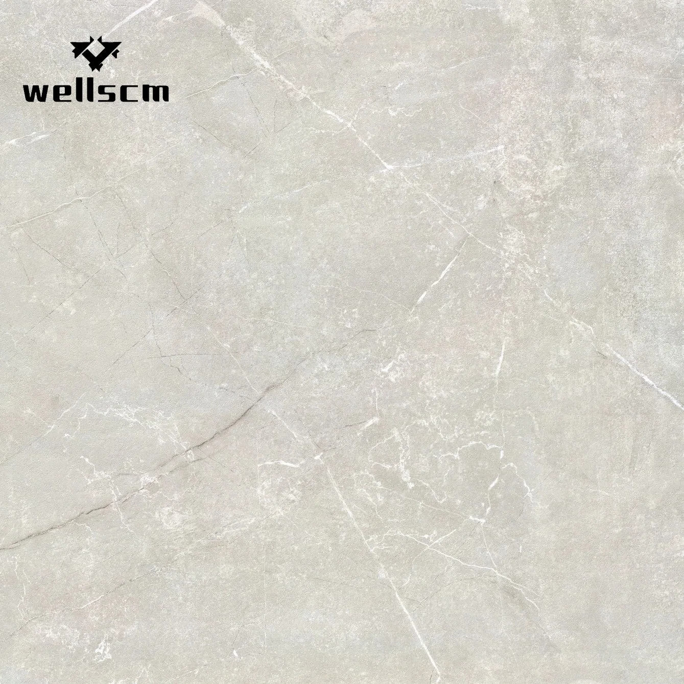 China Porcelain Marble Granite Stone Outdoor Floor House Exterior Tiles Flooring Tile