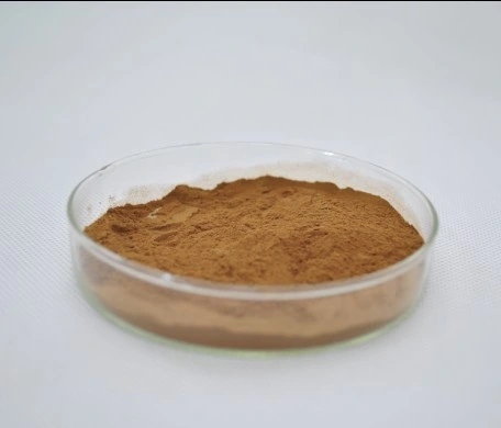 Astragalus Extract Powder Astragaloside IV 0.3%~98%