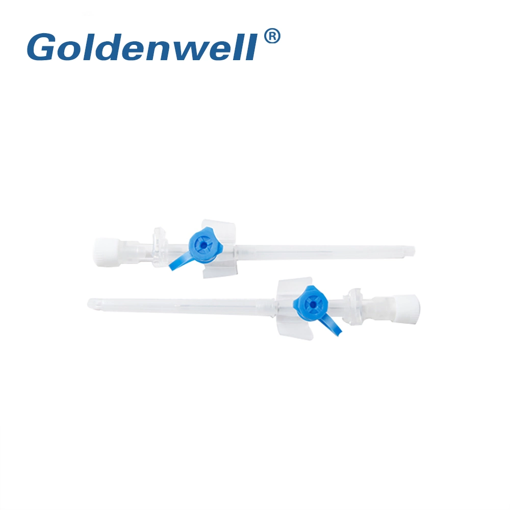 Hot Sale Disposable Medical IV Cannula with Wing Injection Port