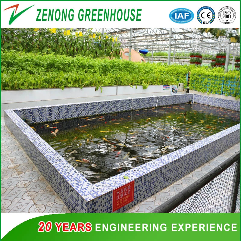 Aquaponic/Hydroponic Green House Covered with High Transmittance Glass