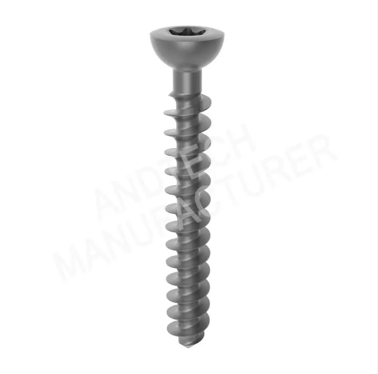 Titanium Non-Locking Screw for Trauma Locking Plate Fixation