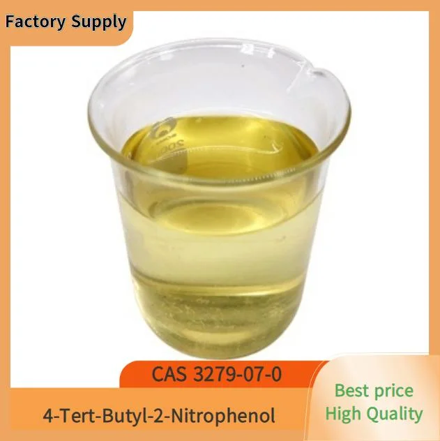 China Manufacturer Sell High Quality 4-Tert-Butyl-2-Nitrophenol CAS 3279-07-0