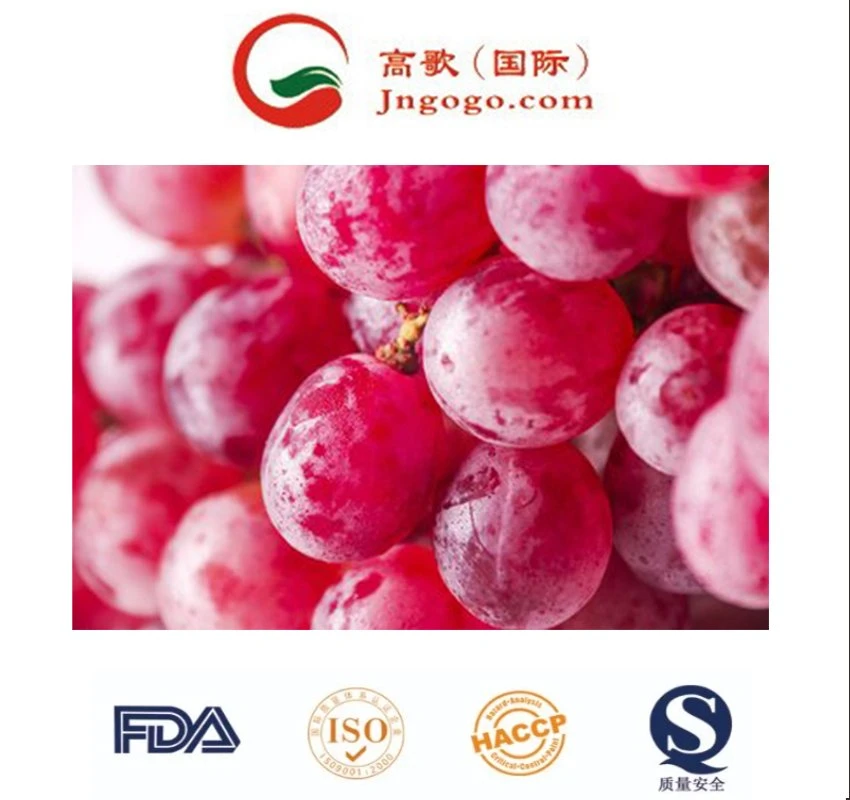 Export Superior Seedless Fruits Grapes Fresh Red Globe Seedless Grapes