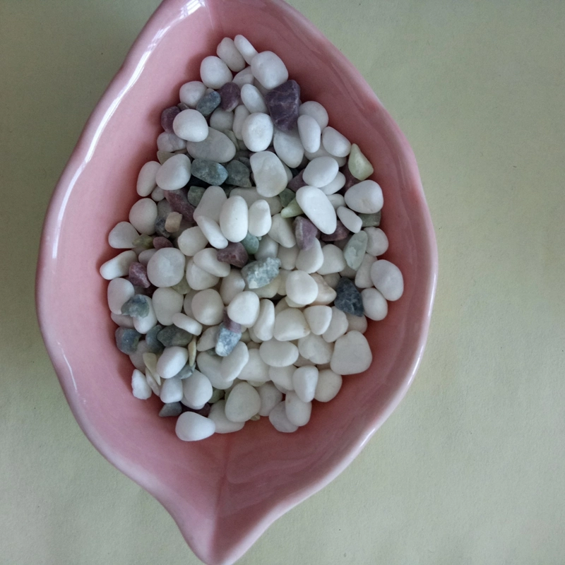 Small Pure White Pebbles/Cobblestone with Low Price