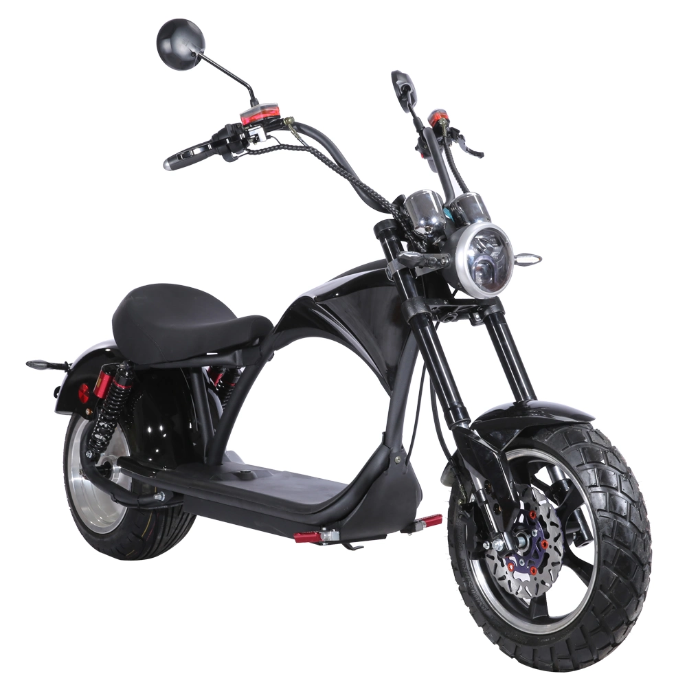 New Adult Electric Dirt Bike 2000W Citycoco Scooter Fat Tires EEC Certificate