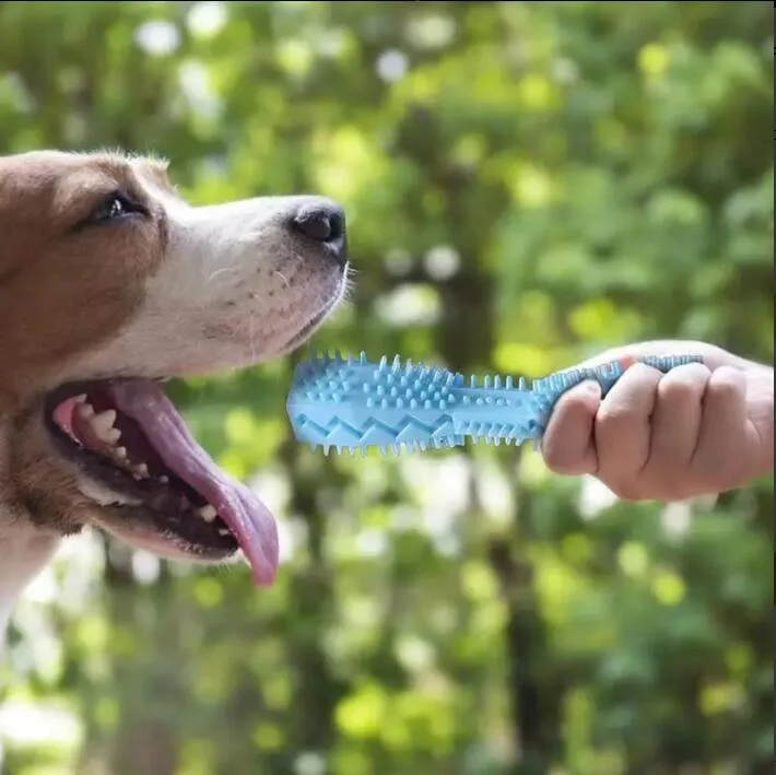 Dog Chew Stick Toothbrush: Durable Rubber Tooth Cleaning & Massage Tools for Pets