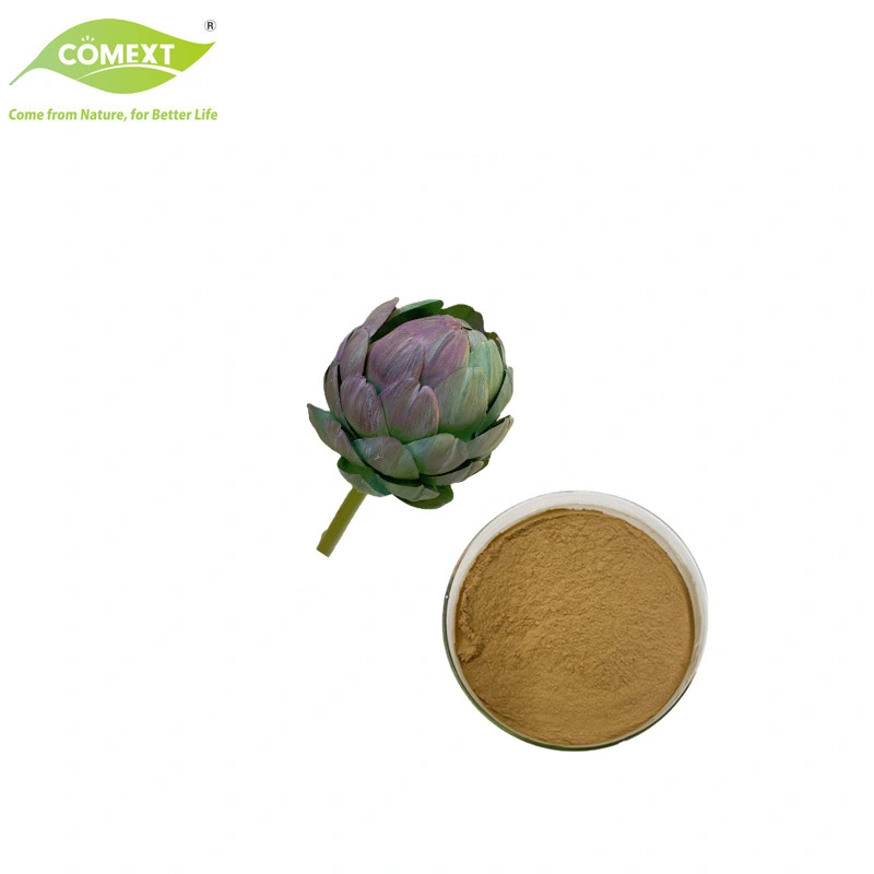 100% Pure Natural Plant Extract Cynara Scolymus Extract Cynarin Artichoke Powder