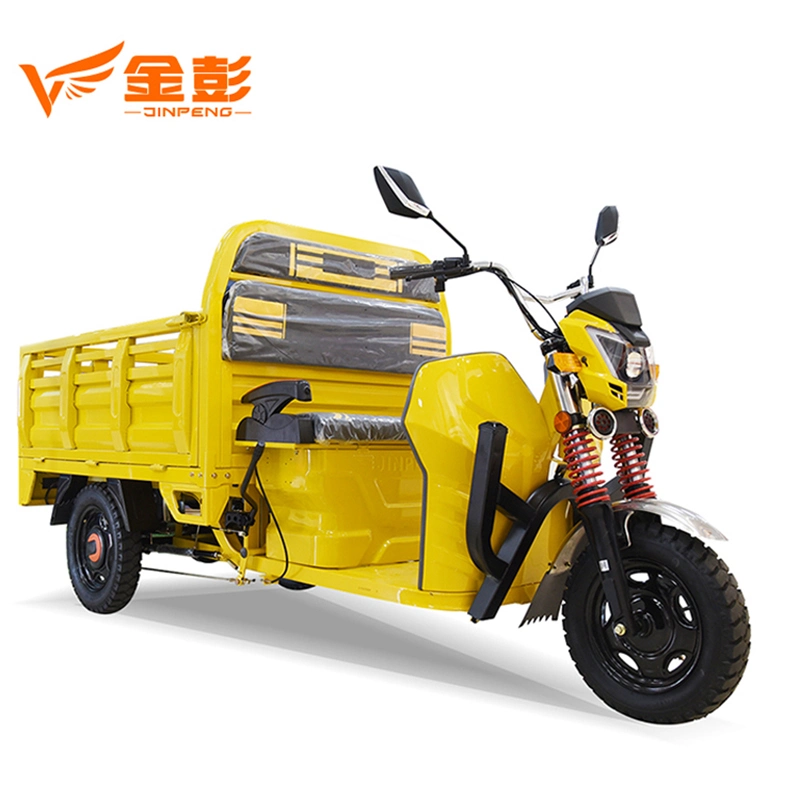 Electric Trike Overseas Market Electric Tricycle with 1000W Motor