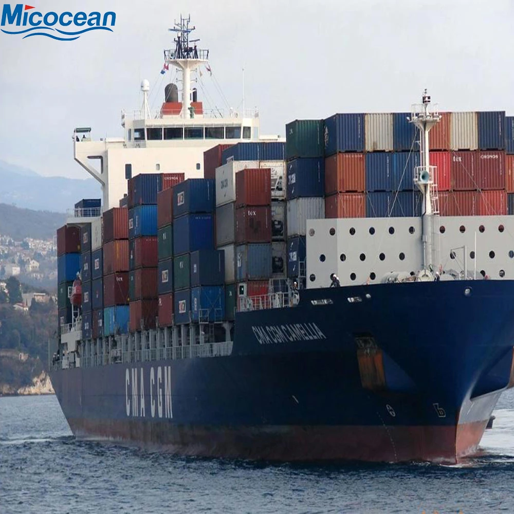 International Logistics Service Sea Freight Transportation Shipping Cargo From Qingdao/Shanghai to USA