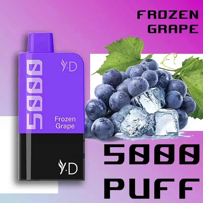 Les saveurs de fruits multiples 5000bouffées 400mAh E-cigarette jetable de gros E narguilé chargeur pour adultes avec la CE