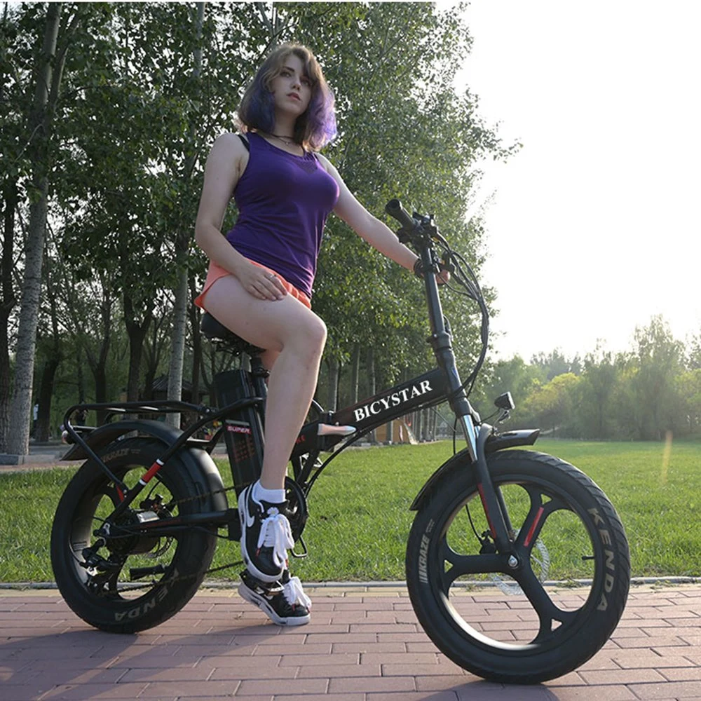 Electric Bike Folding 26/Electric Bike Folding 48V/Electric Fat Tire Bike Folding/Electric Folding Bike 1000W