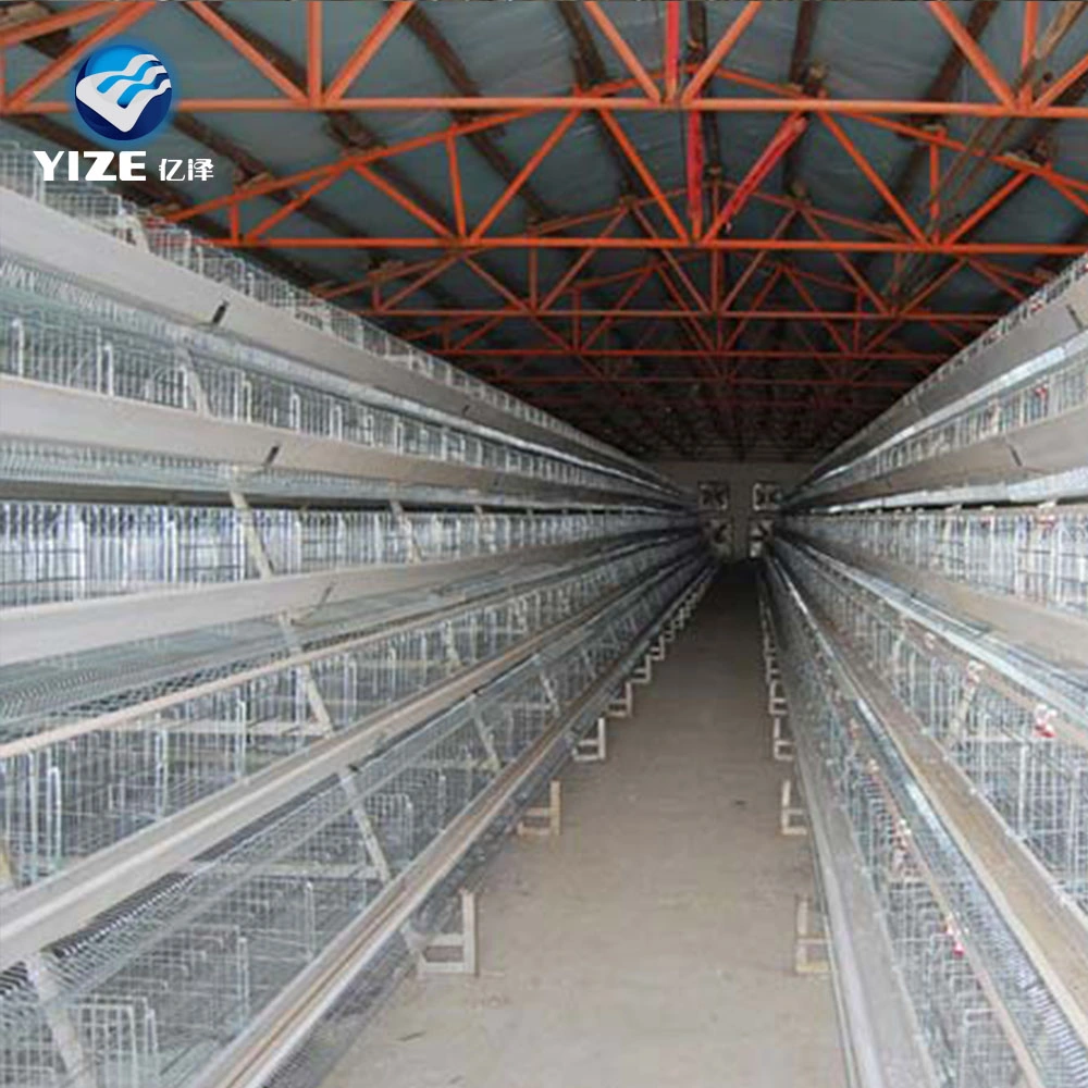 Good Selling Good Quality Chicken Farm Poultry Equipment for Sale